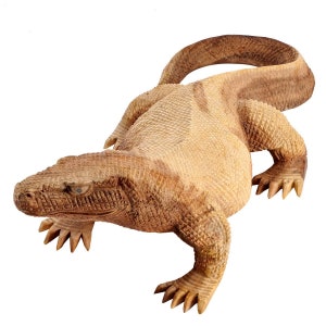 Komodo dragon