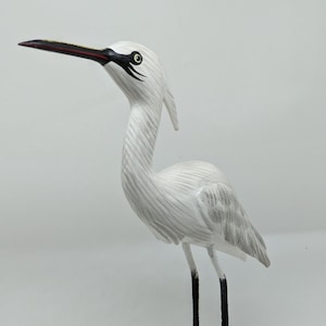 t-egret Western Cattle-Egret - eBird