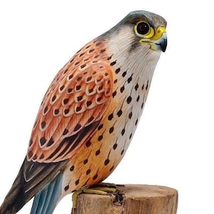 Kestrel - painted wooden carving