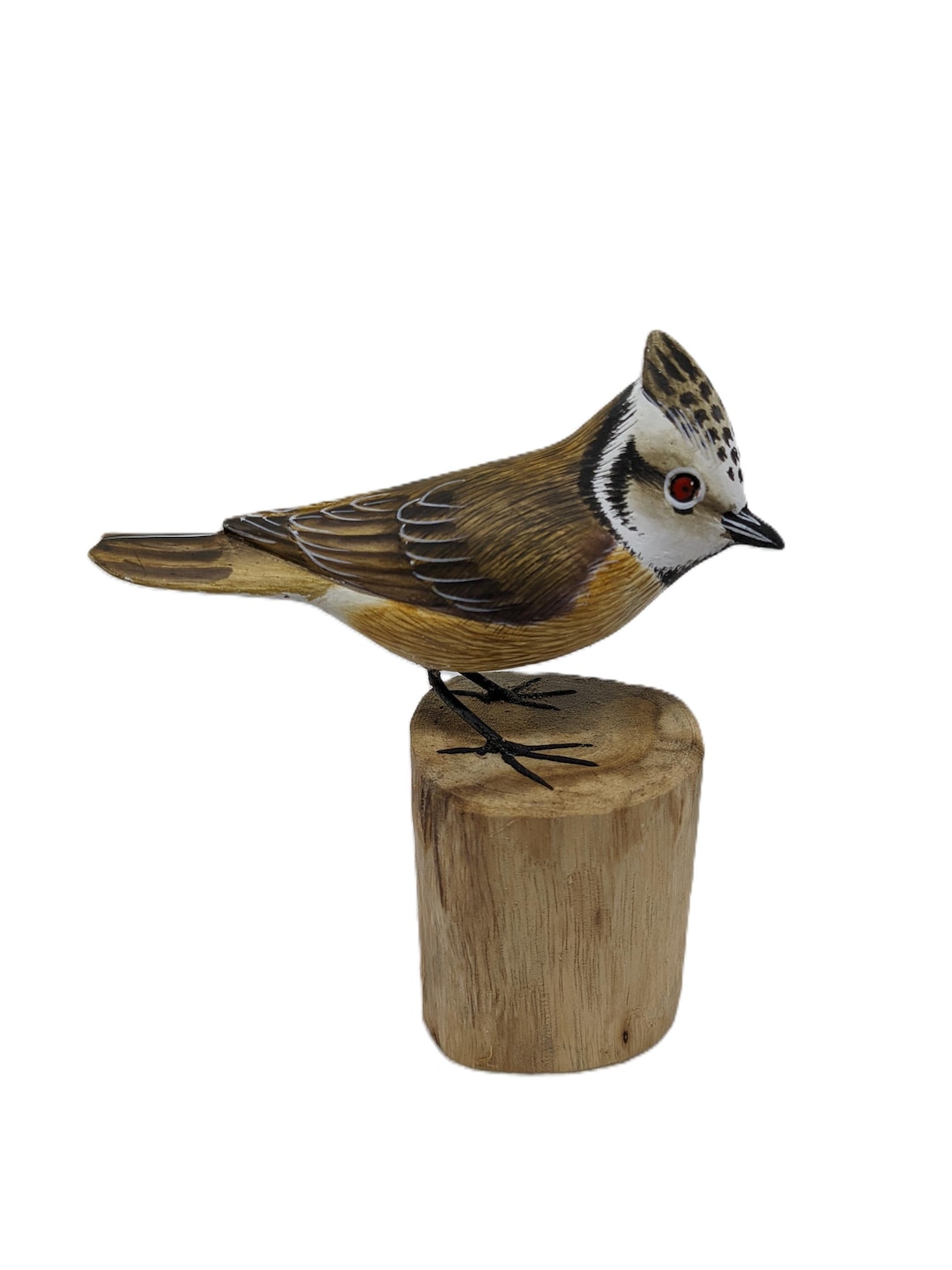 Kit Sculpture Mésange En Bois - Ébauches Et Motif Inclus Pour Débutants Et Passionnés
