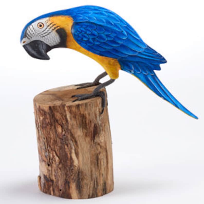 Macaw (parrot) - Painted Wooden Carving - Etsy