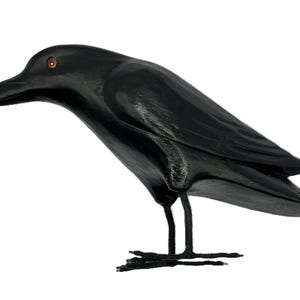 Crow wood carving - 20cm.