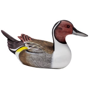 Pintail duck - painted wooden carving