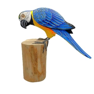 Macaw (parrot) - painted wooden carving