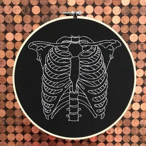 Skeleton ribs