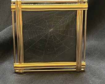 Framed Spider Web 2