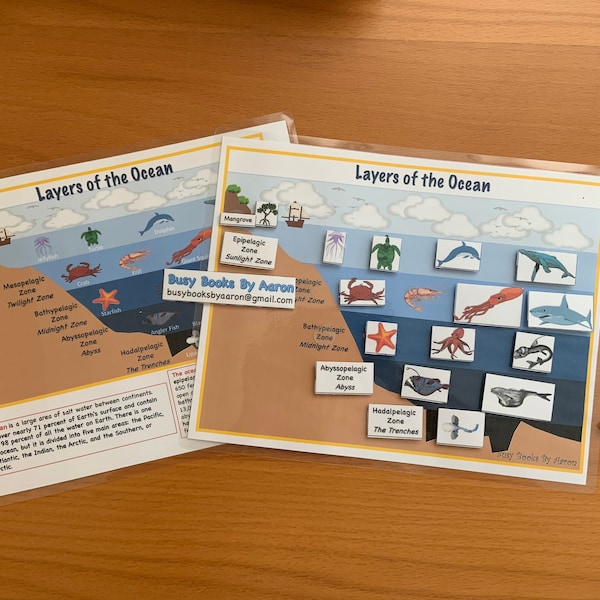 Zones / Layers Of the Ocean - Busy Book Printable