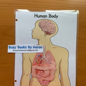 Busy Book Printable Activity: Human Body