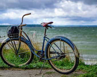 Blue vintage bike with basket cheap