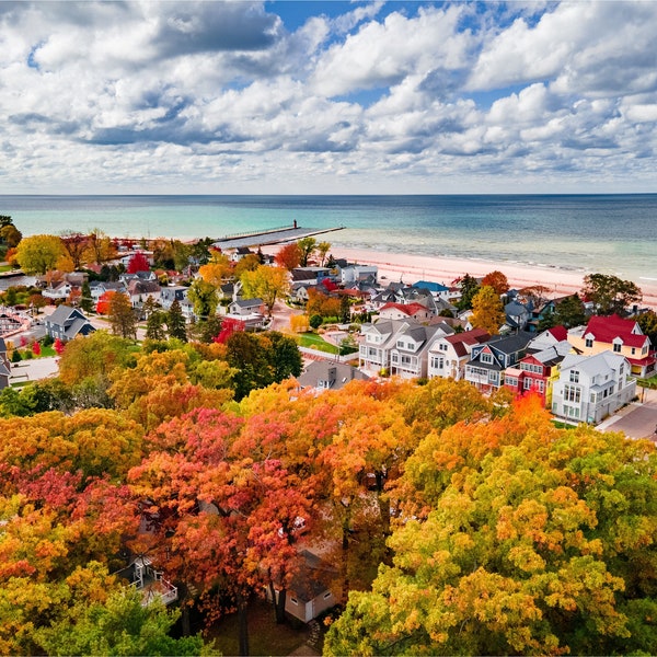 Fall foliage and boxes on the lake - south haven drone photo