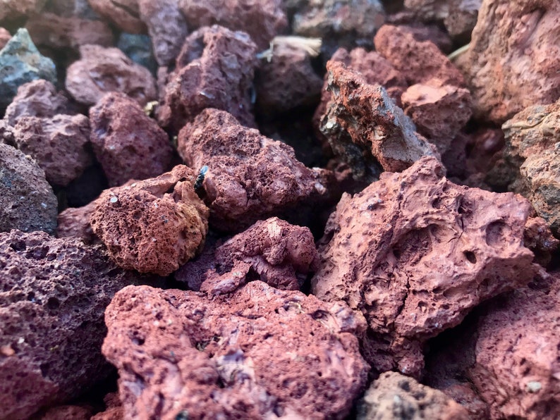 DIRECT FROM HAWAII Red Lava Rock Natural Aquarium Etsy