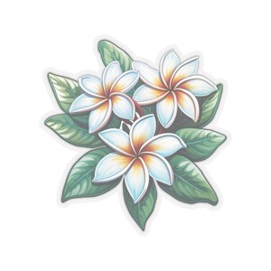 Plumeria Flower Sticker - Made in Hawaii  - Tropical Design - Floral