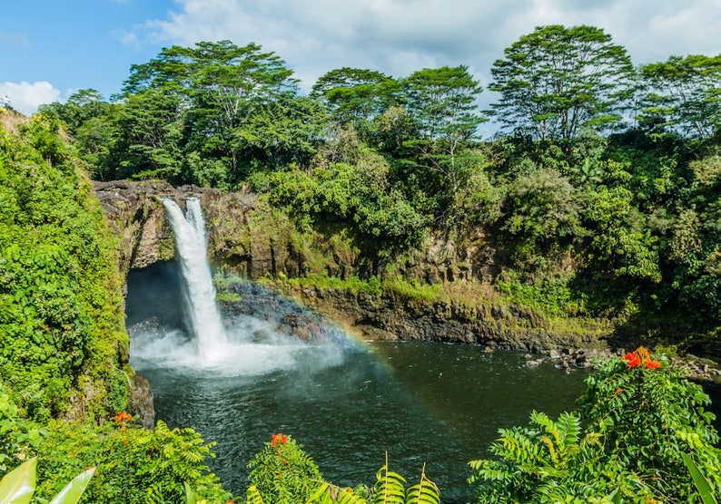 May include: A scenic waterfall cascades into a dark pool, with a vibrant rainbow arching across the water. Lush green foliage and trees surround the waterfall, under a partly cloudy blue sky. Red flowers bloom in the foreground.