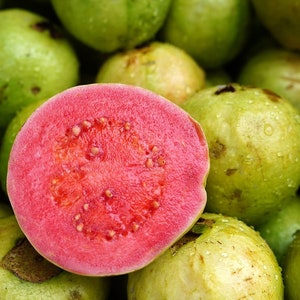 May include: A close-up of a pile of guavas, with one cut open to reveal a vibrant pink interior dotted with seeds. The surrounding guavas are green and slightly wet, suggesting freshness. The image highlights the contrast between the exterior and interior of the fruit.