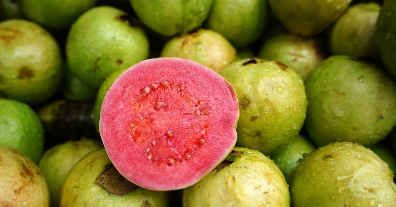 May include: A close-up of a pile of guavas, with one cut open to reveal a vibrant pink interior dotted with seeds. The surrounding guavas are green and slightly wet, suggesting freshness. The image highlights the contrast between the exterior and interior of the fruit.