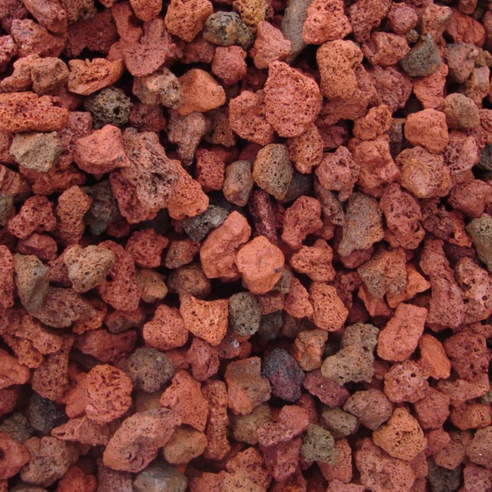 DIRECT FROM HAWAII Red Lava Rock Natural Plant Substrate Etsy