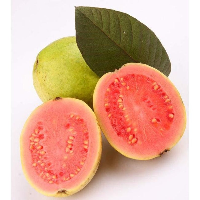 May include: A whole green guava fruit next to two halves of a guava fruit, revealing pink flesh and seeds. A dark green leaf is behind the fruits, all set against a white background. The fruits are ripe and ready to eat.