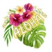 Hawaii Essential Supply