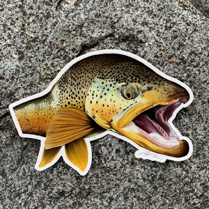 Sticker - Brown Trout