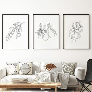 Botanical Line Art Set of 3 Prints, Black and White Botanical PRINTABLE Wall Art, Botanical Line Drawing, Minimal Decor, DIGITAL DOWNLOAD