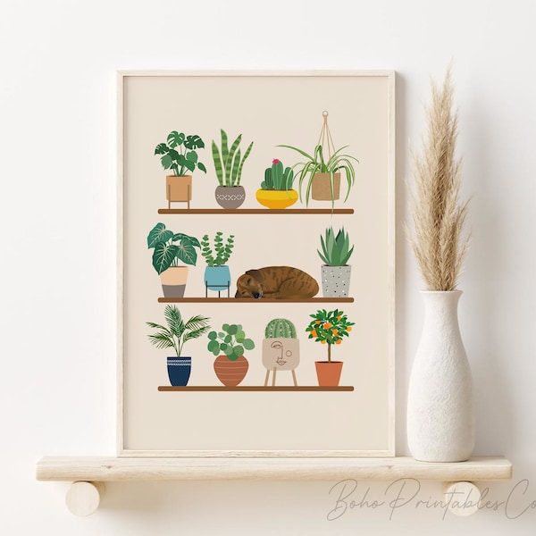 House Plants Etsy
