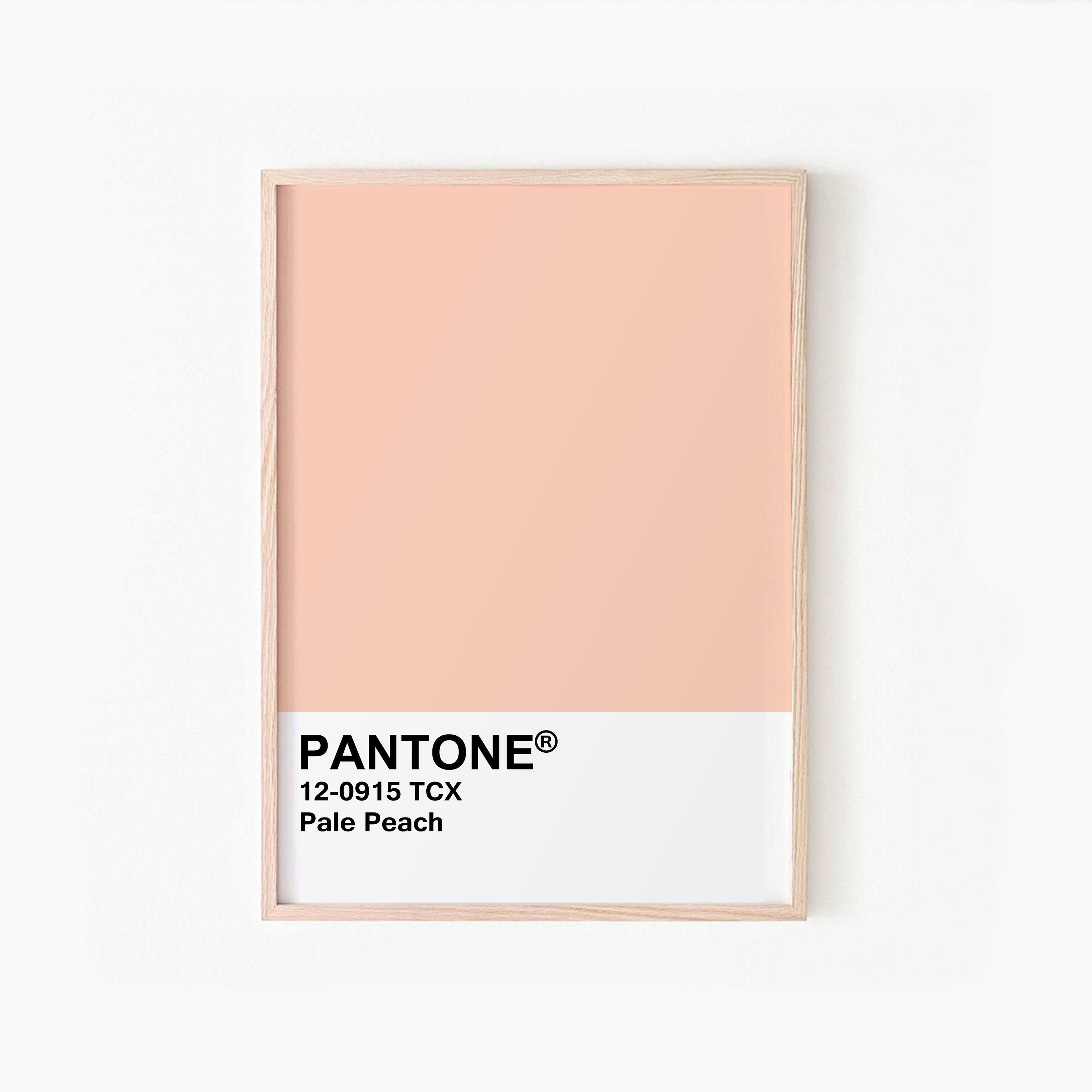 Pastel Pantone Print Set of 6 Pantone Colours Printable Wall Etsy