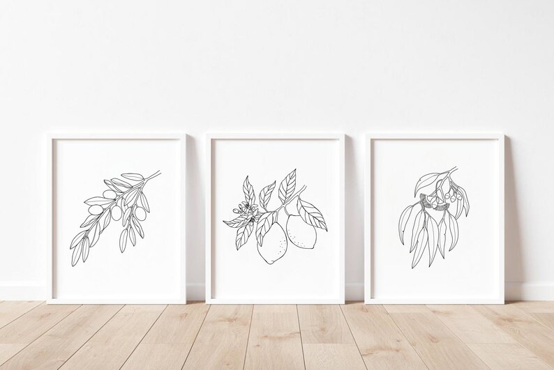 Botanical Line Art Set of 3 Prints, Black and White Botanical PRINTABLE ...