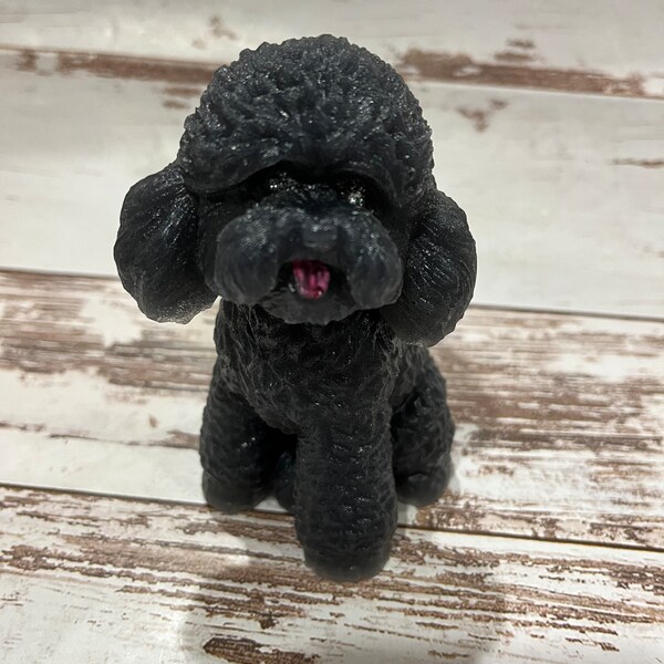 Miniature Poodle Etsy