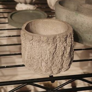 May include: A small, gray concrete planter shaped like a tree trunk. The planter has a rough, textured surface and a round opening at the top.