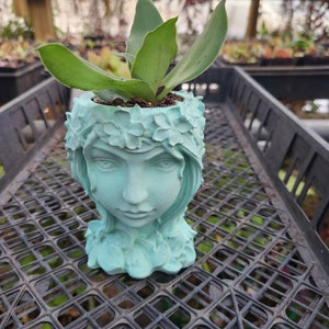 Concrete Goddess/Mother Nature Planter/Bulk Sale