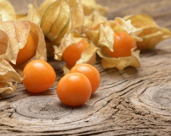 Pineapple Ground Cherry ( 30 + seeds )
