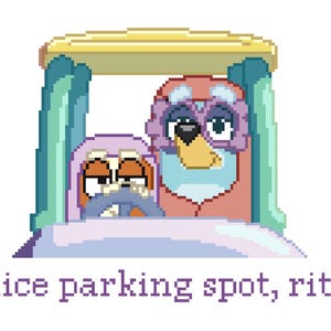 May include: Pixelated illustration of two cartoon birds in a car. The driver is a light brown bird with a purple hat, and the passenger is a red bird with a blue mask. The text "nice parking spot, rita" is at the bottom.