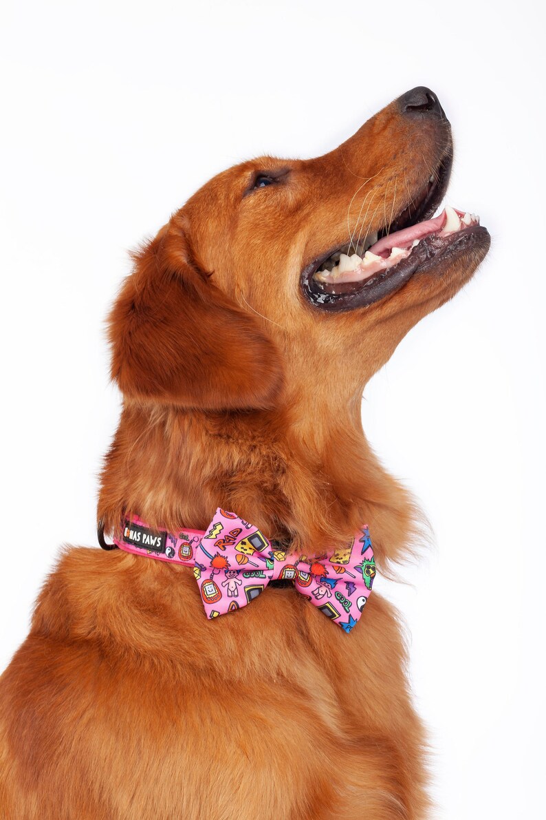 90's Girl Dog Collar Bow Tie & Leash Set Etsy