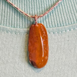 A Perfect Petrified Piece can be worn anywhere anytime. Found in Austin Creek and tumbled to a choice shine. Set on 17" .925 Stainless Slvr.