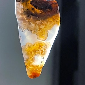 Mighty Moss Agate that's super beautiful and stunning. Found in the Yosemite valley/river set on a 24" Gold chain. Perfectly polished piece