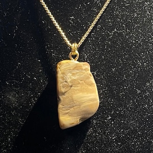 Beautiful African Petrified White Wood, Found on the active volcano Mt Cameroon. Machine polished and set on a 14k, 30&quot; Gold Chain.