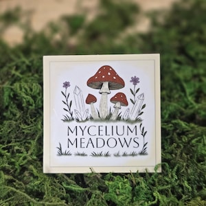 Sticker champignon - Sticker de la collection du mois avec champignons et cristaux