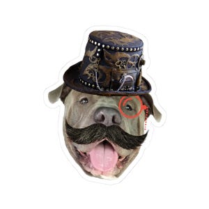 Pegatina de Pitties Go Strip'n Detective, pegatina de Zander, pegatinas divertidas para mascotas, decoración divertida para perros, regalo ideal para amantes de las mascotas, calcomanía de estilo vintage