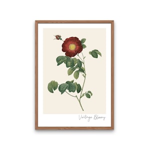 Vintage Blooms - Flowers Print, Vintage Sunflowers, Antique, Rustic Decor, Floral Wall Art, Home Wall Decor, Bohemian, Nature Art, Earthy