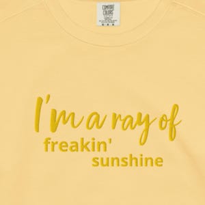 May include: A light yellow sweatshirt with the embroidered phrase "I'm a ray of freakin' sunshine" in a matching yellow thread. The sweatshirt has a crew neck and a small tag at the top.