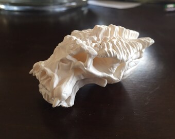Predator 2 trophy room inspired "Small man" skull