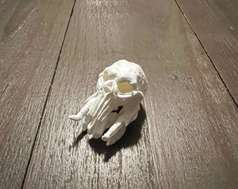 Inspired by the Cursed Earth Predator trophy room, here is "Broken tusk"