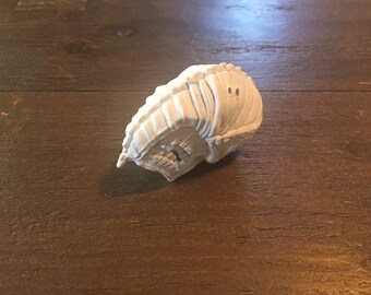 Inspired by the AvP trophy room, I call this one "Elephant nose".