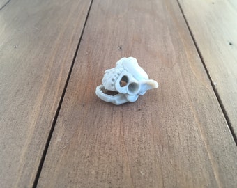 Trophy skull inspired by a Universal Studios trophy room. I call this species "Bathead"