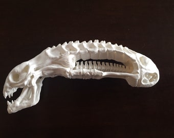 Predator 2 trophy room inspired "Aliens" skull