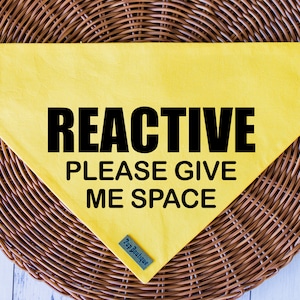 dog warning bandanas