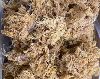 Wholesale Bulk -St. Lucia Sea Moss - Gold Wildcrafted- Sun-Dried – Authentic