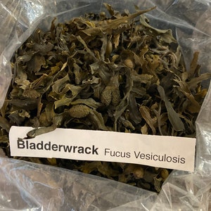Derek Product - Wildcrafted Bladderwrack  Fucus Vesiculosus 2 OZ
