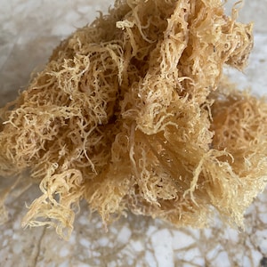 Derek Product - 1lb - St. Lucia -Gold WildCrafted Sea Moss Organic