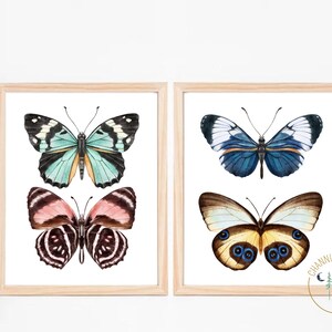 Butterfly / Baby Girl / Butterfly Wall Art / Nursery Decor / Nursery Art / Botanical Print / Bedroom Wall Art / PRINTABLE Wall Art